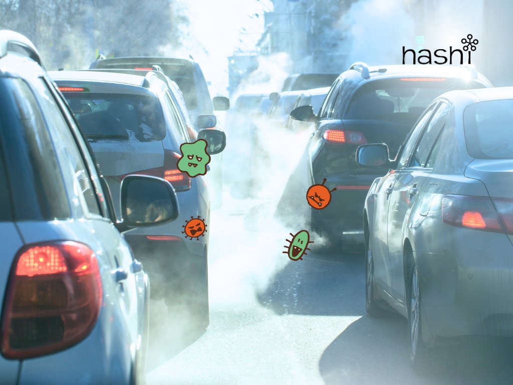 ฝุ่น PM2.5 | ควันรถ
