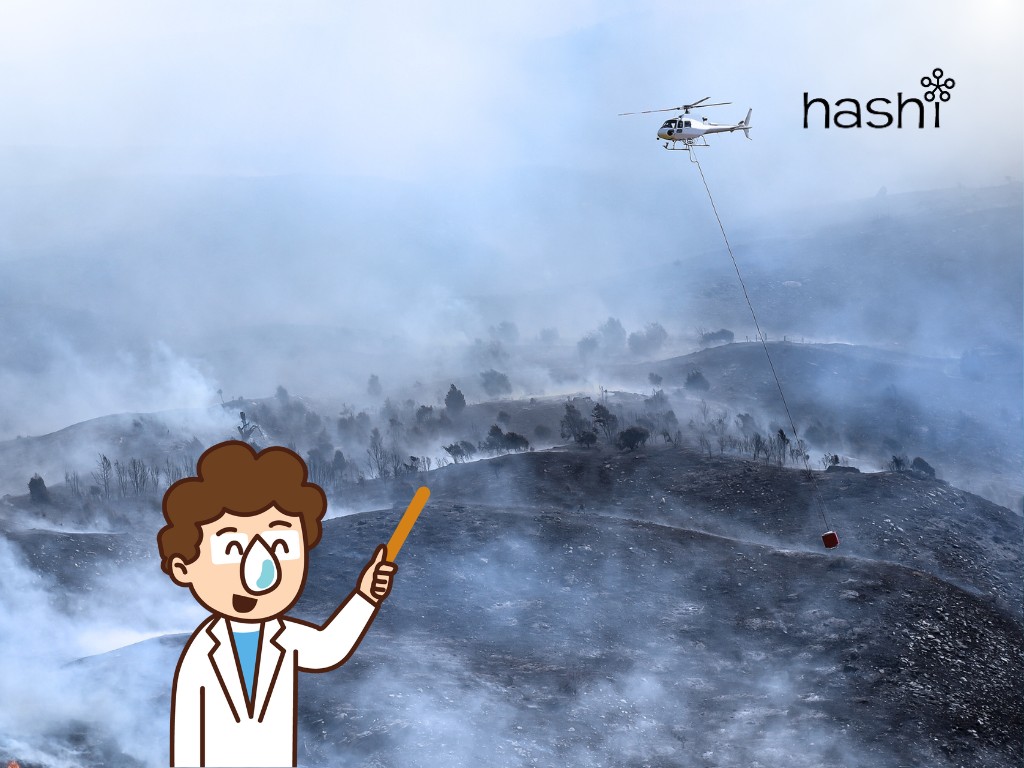 ค่าฝุ่น