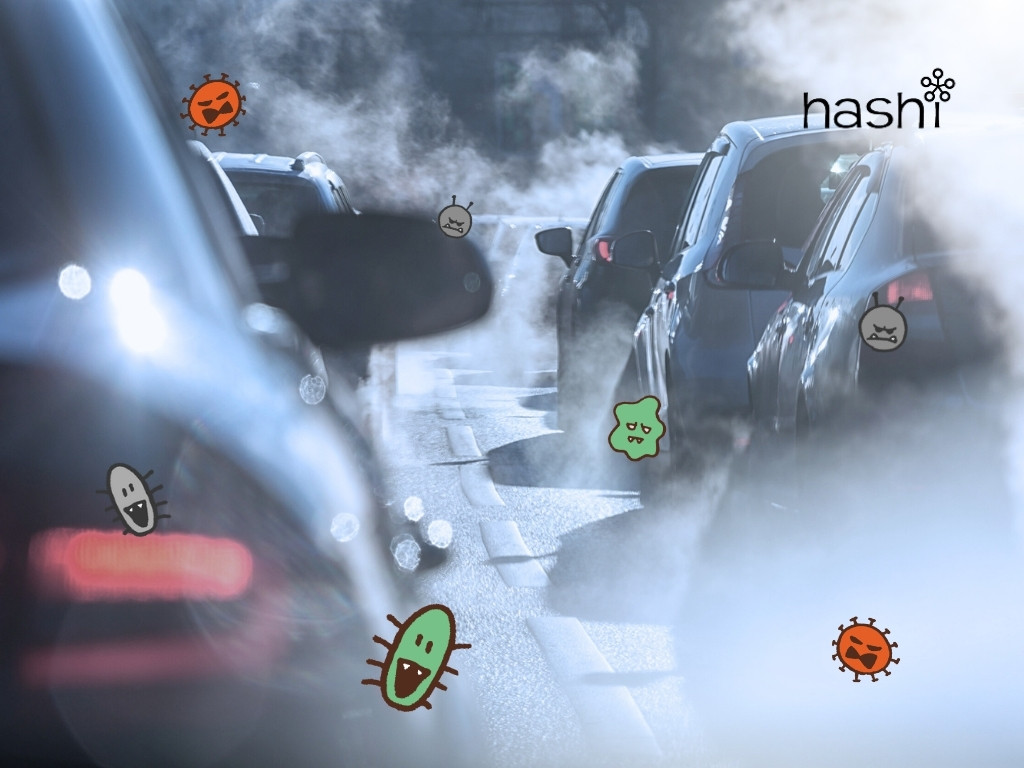 ค่าฝุ่น