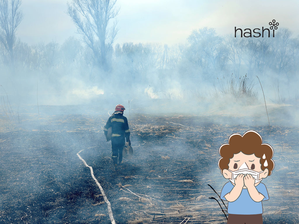 ฝุ่น PM 2.5 เกิดจากอะไร