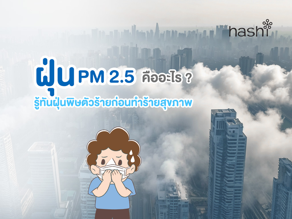 ฝุ่น PM 2.5 คือ
