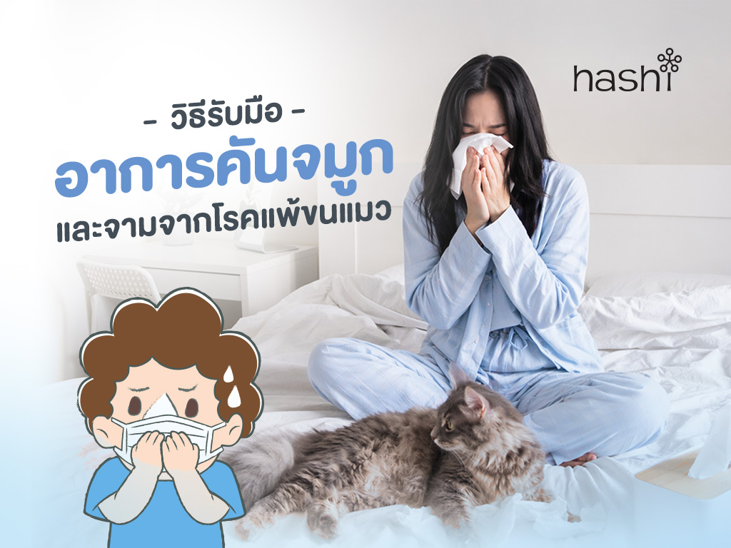 แพ้ขนแมว