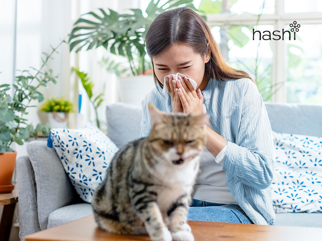 อาการแพ้ขนแมว